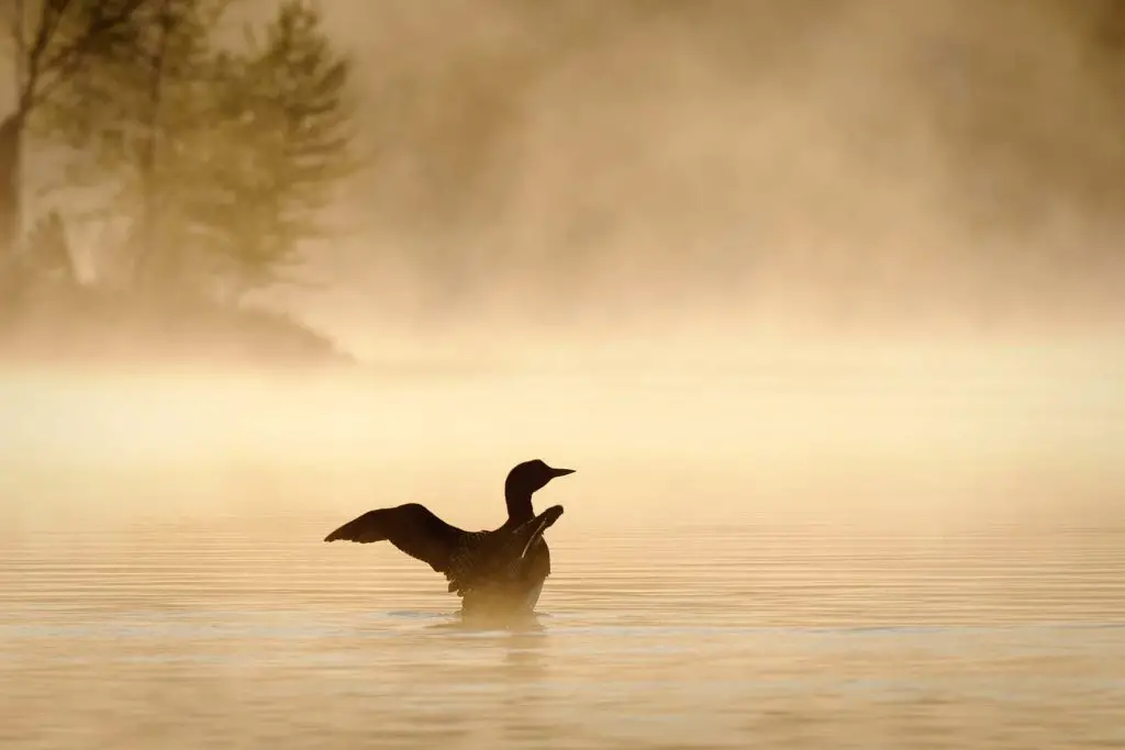 17 Best Things to Do in the Upper Peninsula, Michigan (2025 Guide)
